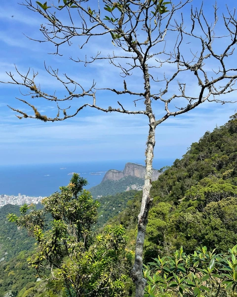 Pedra da Proa - Parque Nacional da Tijuca